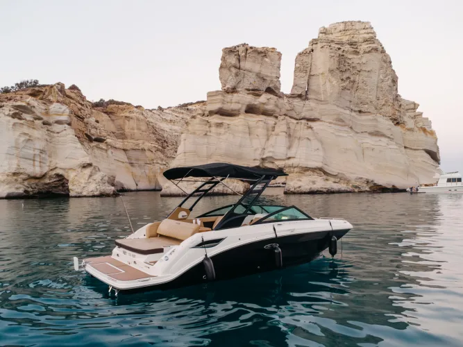 Sea Ray