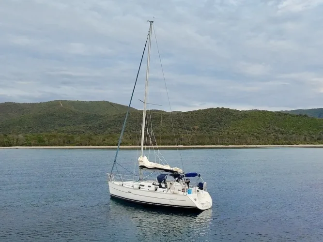 Cassiopea