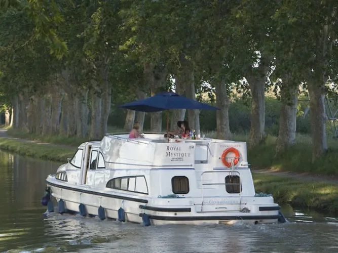 Royal Mystique A - Comfort Plus 12