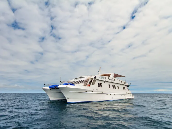 Catamarans