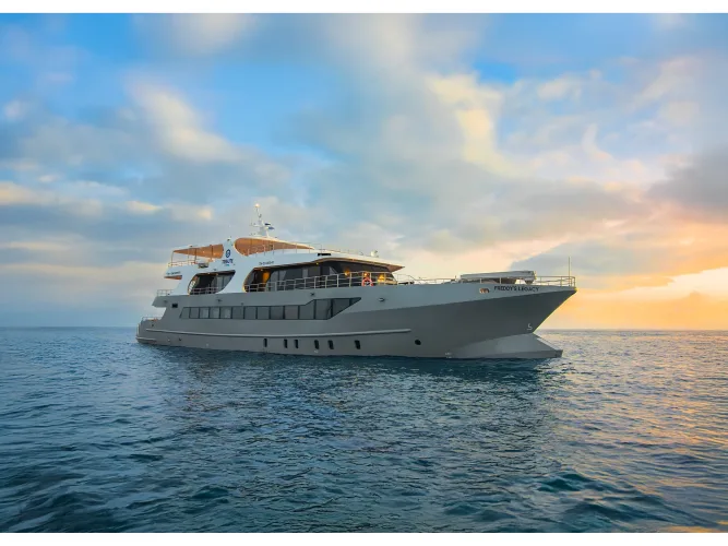 Motor yachts