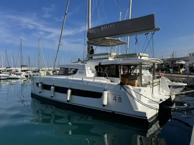 Silver Dolphin