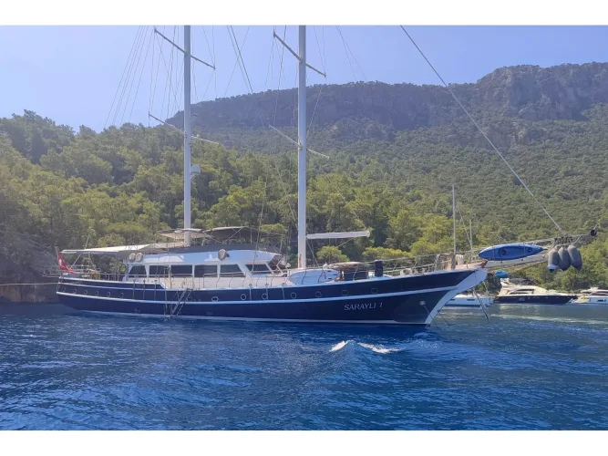 SARAYLI 1