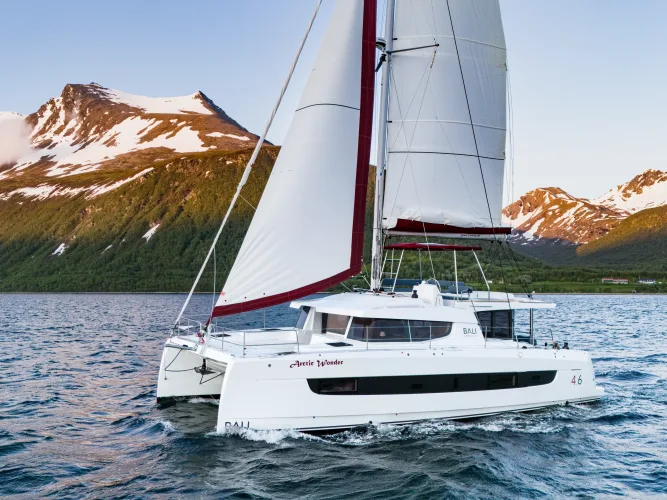 Arctic Wonder