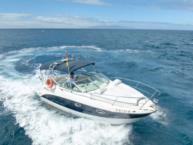Motor yachts