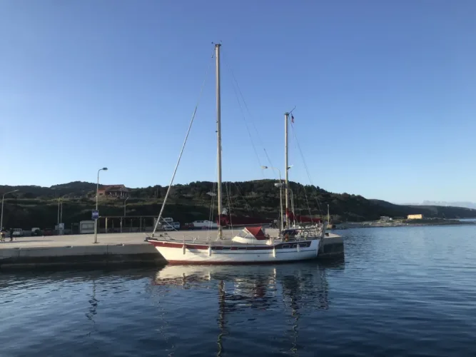 Asterias