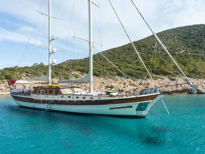 Estrella de Mar